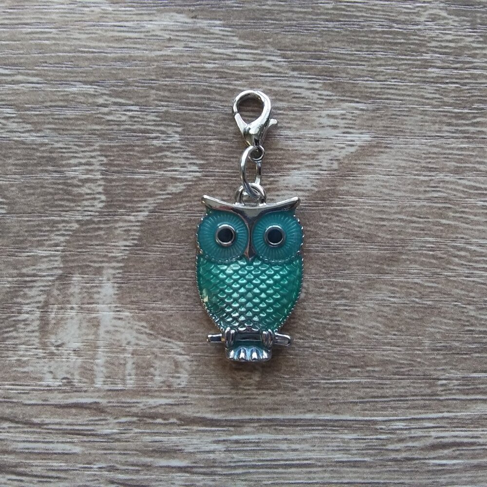 Teal Enamel Owl Charm Clip